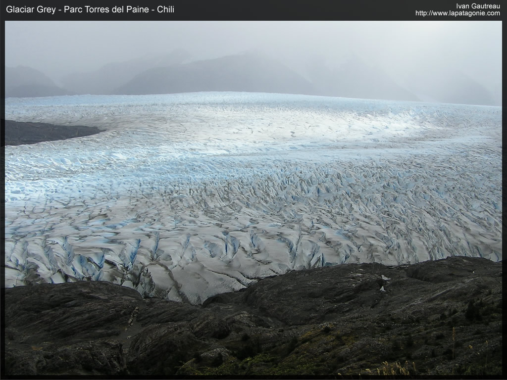 glaciargreylangue.jpg