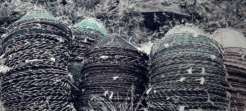 20180329_095517.jpg